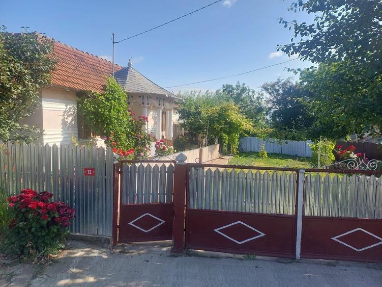 Casă cu 4 camere în Albița