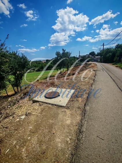 Teren Construcții intravilan de 7694 mp, în Tureni