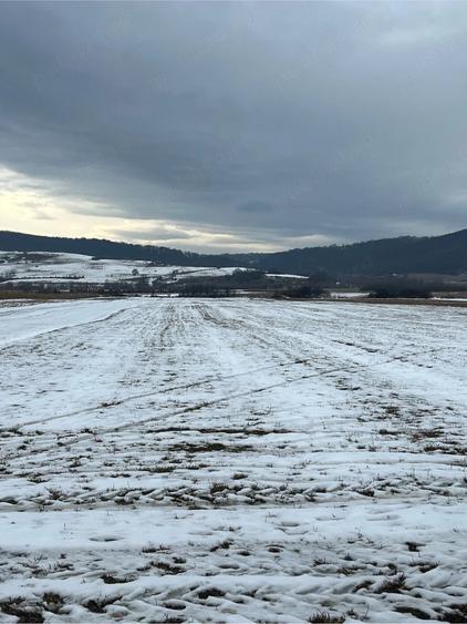 Teren de 10000 mp, în Bradu