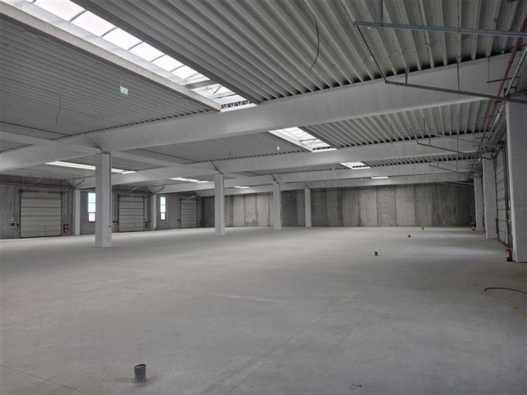 Vanzare depozit/spatiu industrial/hala Chitila - Rudeni, ILFOV - 14