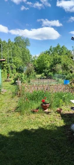 Teren Construcții intravilan de 1093 mp, în Sadu