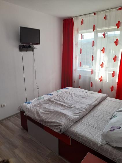 Apartament cu 2 camere semidecomandat în Cetate