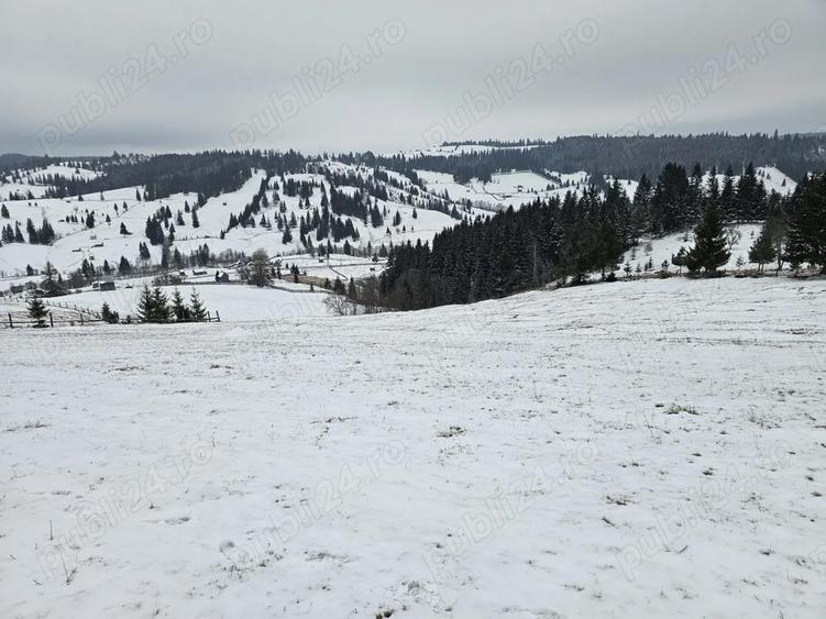Teren extravilan de vanzare in Bucovina Breaza zona Paraul Negrei - 11