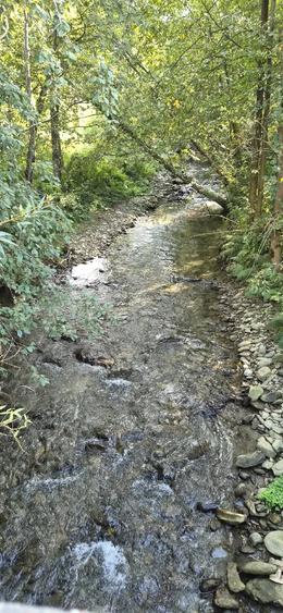 Teren de 2500 mp, în Dejani