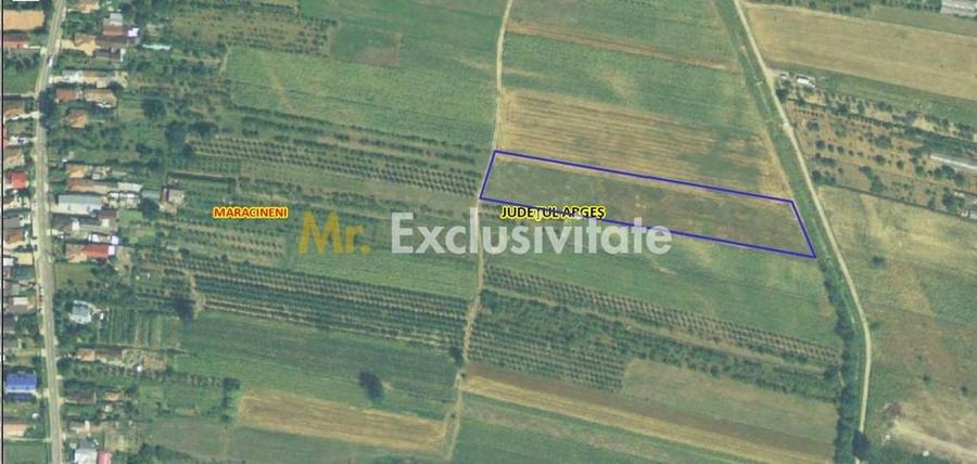 Teren de 7545 mp, în Mărăcineni