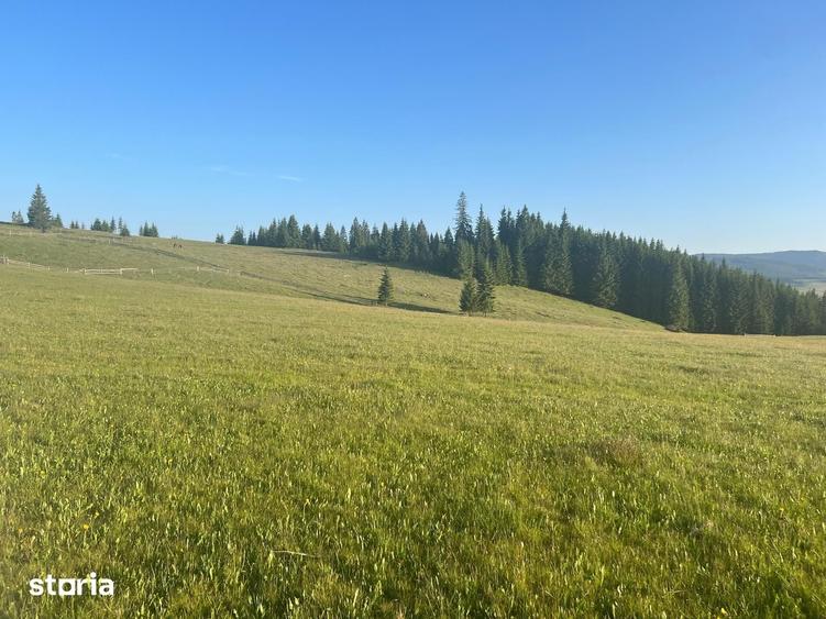 Teren de 500000 mp, în Ciocănești