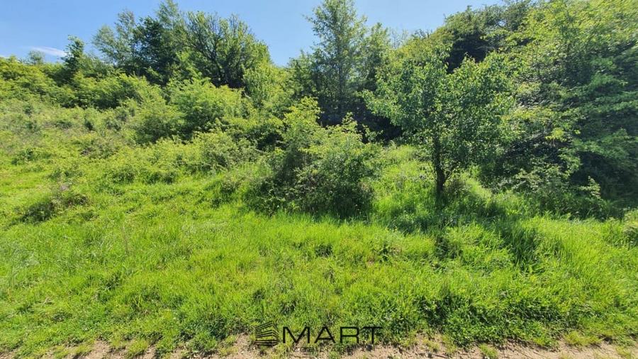 Teren extravilan 3200mp zona Sacel - 4