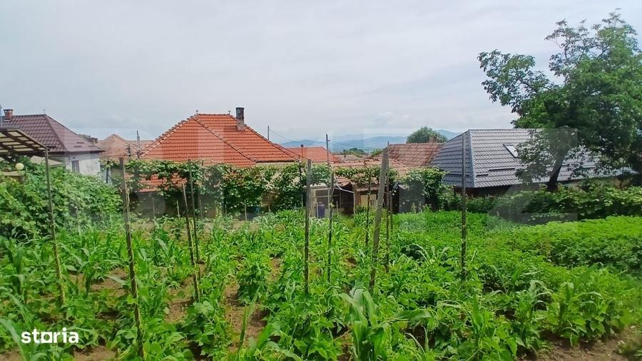 Casă cu 3 camere cu Teren 830 Mp în Central