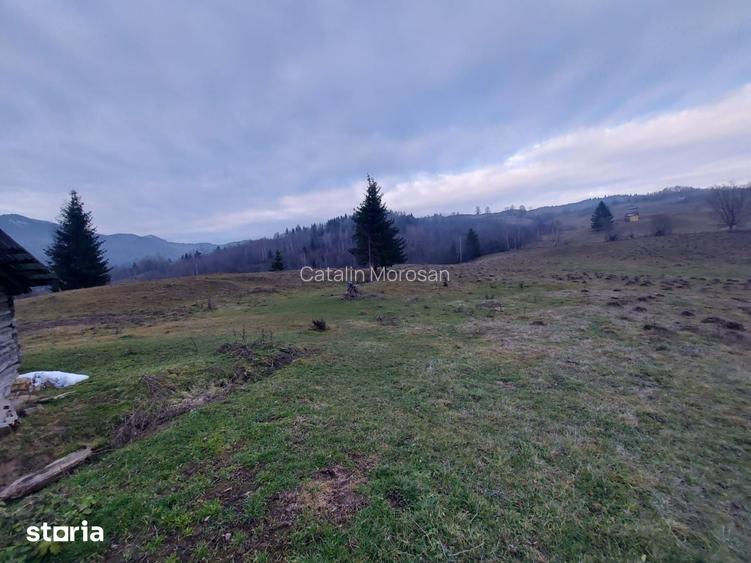 Vindem 53360 mp Bucovina - Vama