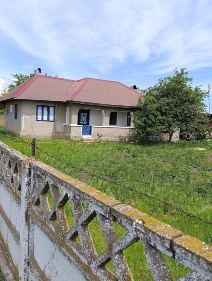 Casă cu 3 camere cu Teren 1800 Mp în Fulga