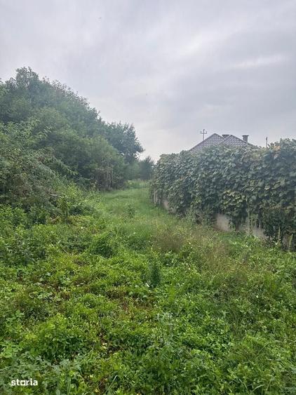 Casă cu 3 camere în Rogna
