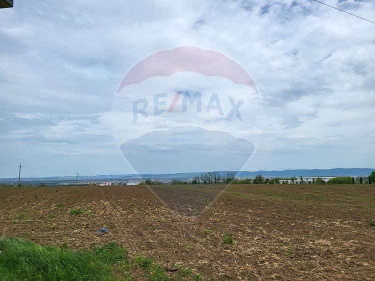 Teren agricol extravilan de 2475 mp, în Măgura
