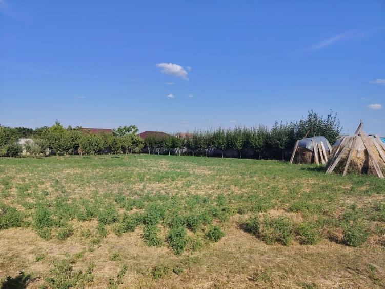 Teren Construcții de 2500 mp, în Odobești