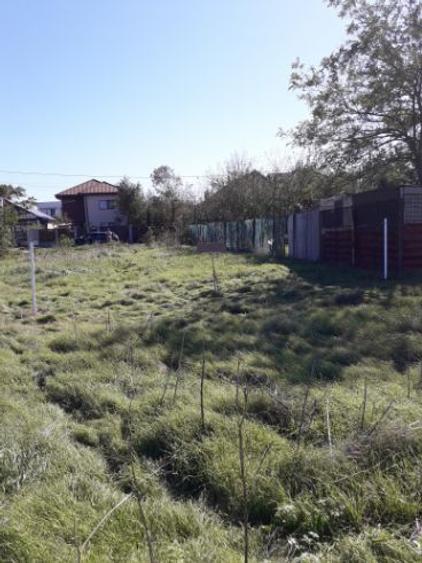 Teren agricol intravilan de 501 mp, în Cumpăna