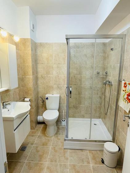 Berceni - Drumul Binelui - Garsoniera - 370 EUR - 8
