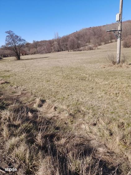 Teren de vanzare, 9.680 mp, comuna Deda, jude?ul Mure? - 3