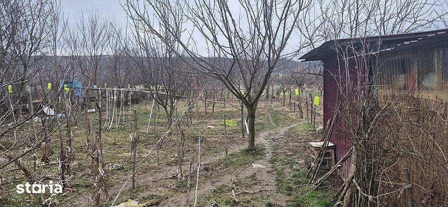 Casă cu 2 camere cu Teren 4000 Mp în Tăut