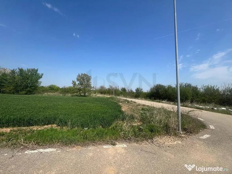 Teren de 15000 mp, în Snagov