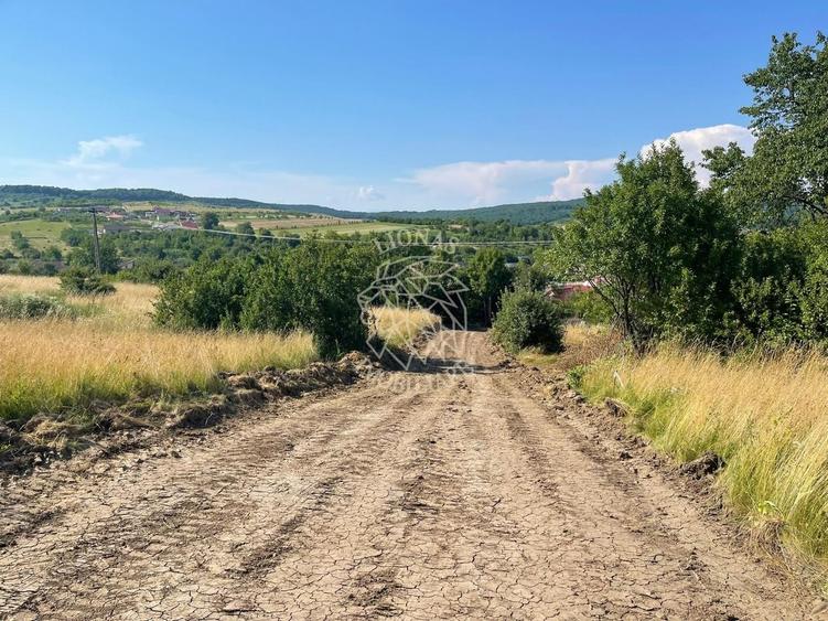 Teren Construcții extravilan de 1000 mp, în Sigmir