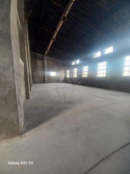 Spațiu industrial, de 1,000 mp, în Bereasca