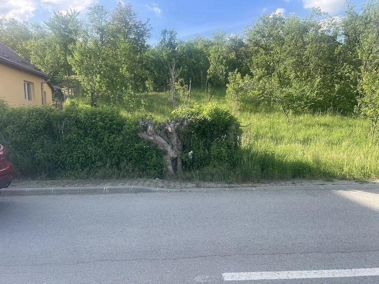 Teren de 3900 mp, în Central
