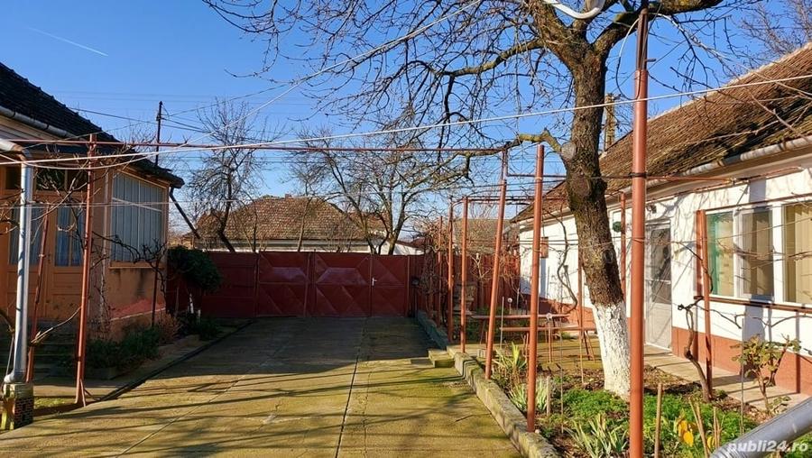 Casă cu 6 camere cu Teren 2984 Mp în Chișineu-Criș