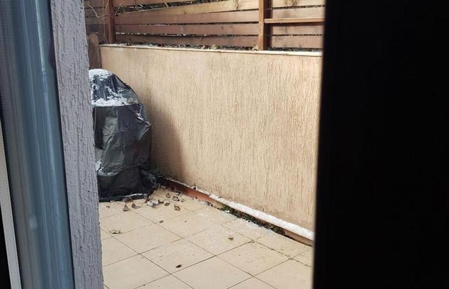 Apartament zona Garlei-Dobrogeanu Gherea cu terasa mare si curte proprie - 6