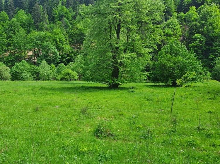 Teren Construcții intravilan de 20217 mp, în Exterior Sud