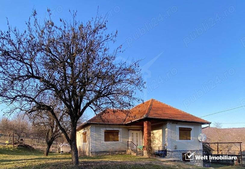Casă individuală cu 4 camere cu Teren 8000 Mp în Ciucea