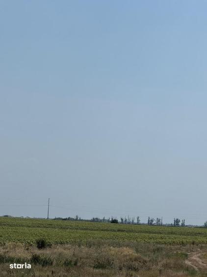Teren de 500 mp, în Sud