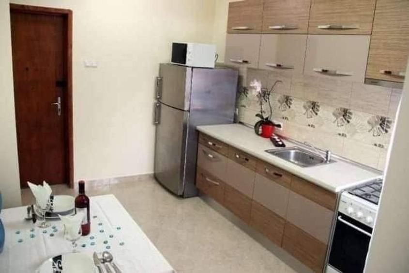 Apartament 2 camere Cornisa UMF de inchiriat - 5
