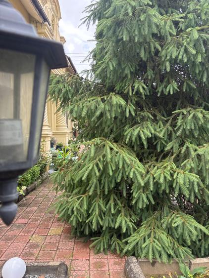 Casă cu 4 camere cu Teren 500 Mp în Exterior Vest