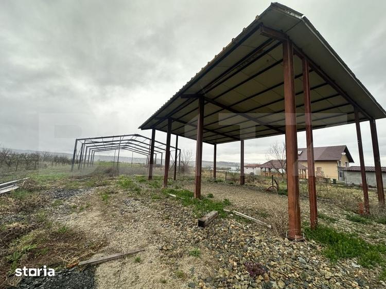 Teren de 2600 mp, în Beriu