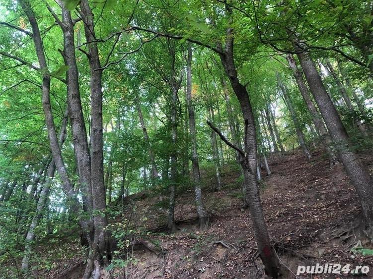 Teren de 1500 mp, în Vlădești