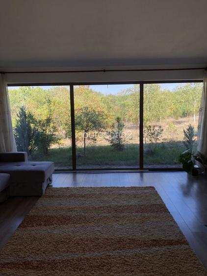 Vand casa cu piscina pe un teren de 50de arii adica 5000 metri patrati