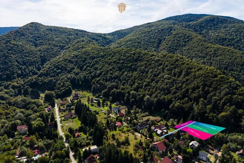 Teren de 738 mp, în Poiana