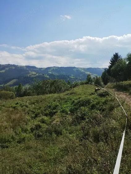 Teren în Lunca