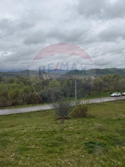 Teren Construcții de 4780 mp, în Vadu Izei