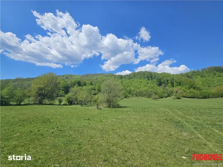 Teren de 5370 mp, în Oituz