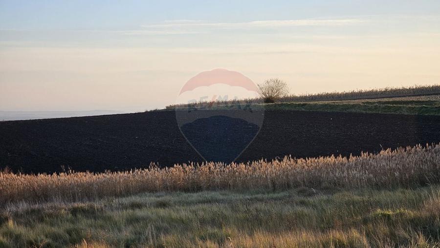Teren agricol extravilan de 30077 mp, în Stroiești