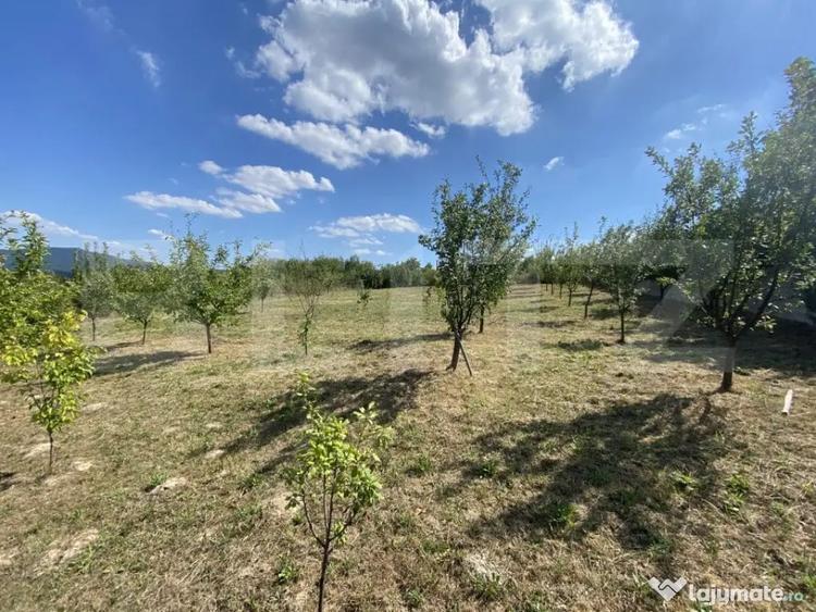 Teren de 1500 mp, în Aghireș
