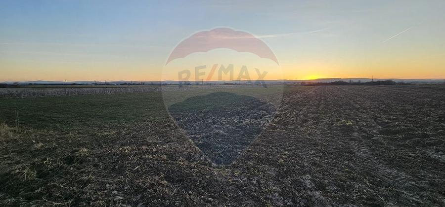 Teren agricol intravilan de 5000 mp, în Filipești
