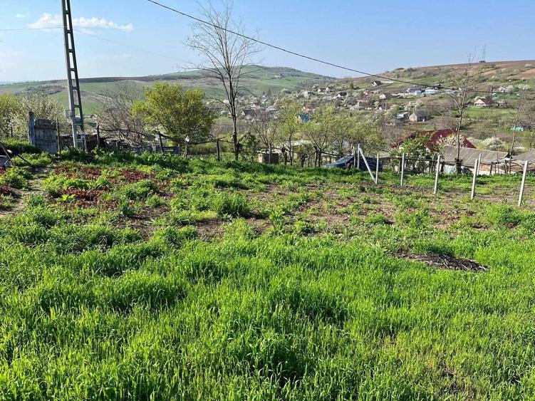 Teren de 780 mp, în Popricani
