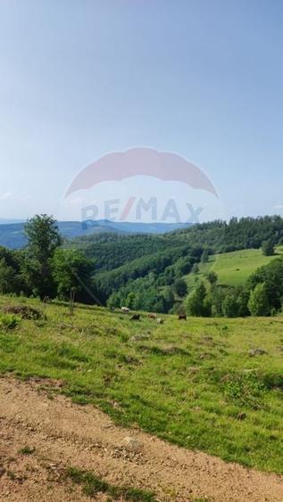 Teren agricol extravilan de 128948 mp, în Munteni
