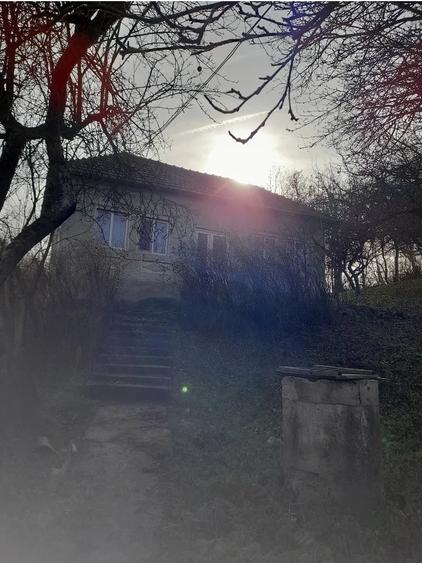Casă cu Teren 2400 Mp în Berislăvești