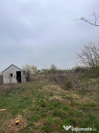 Teren de 5800 mp, în Bencecu de Jos