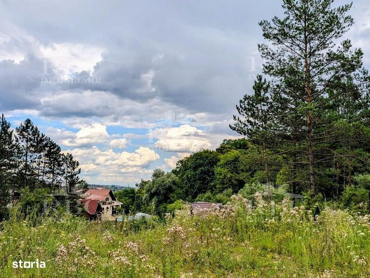 Teren intravilan pentru constructie casa in Cheile Baciului - 7