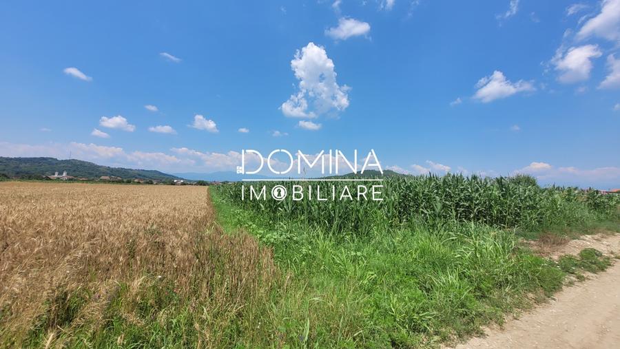 Teren Construcții intravilan de 3504 mp, în Bălești
