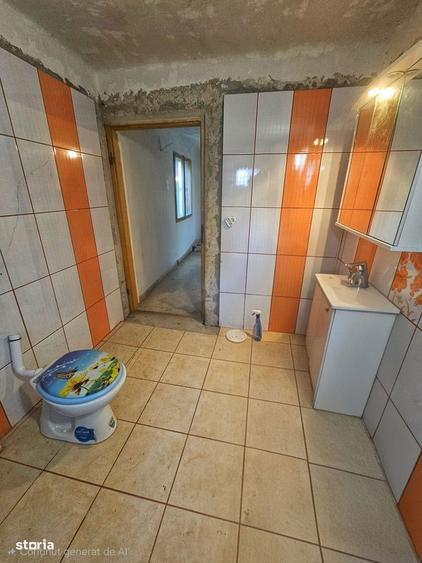 Mirva Imobiliare Exclusivitate | Casa cu teren generos in Olteni - 7
