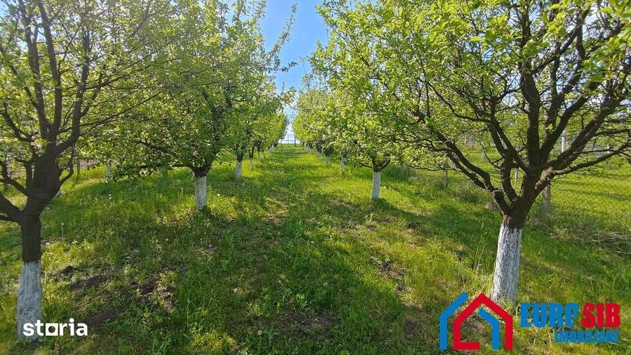 Teren de 1000 mp, în Roșia